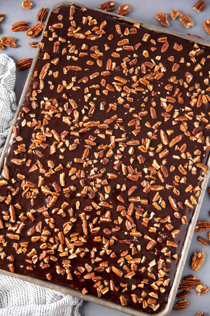 Bird's eye of Texas Sheet Cake in a sheet pan.